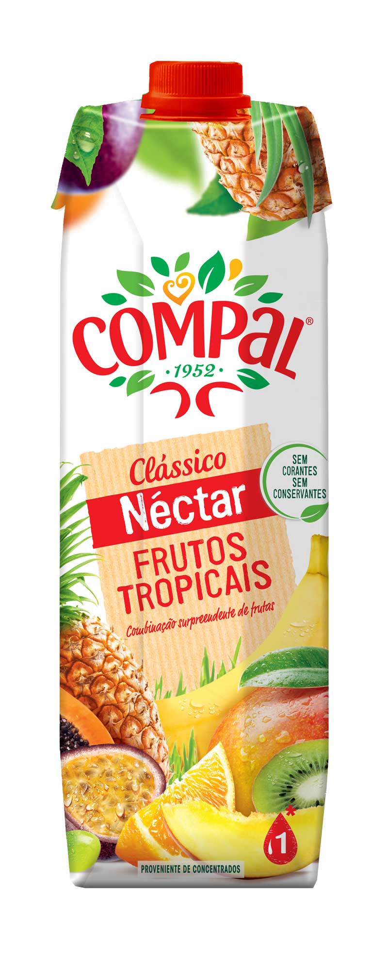 GRUPO CASTEL ANGOLA
